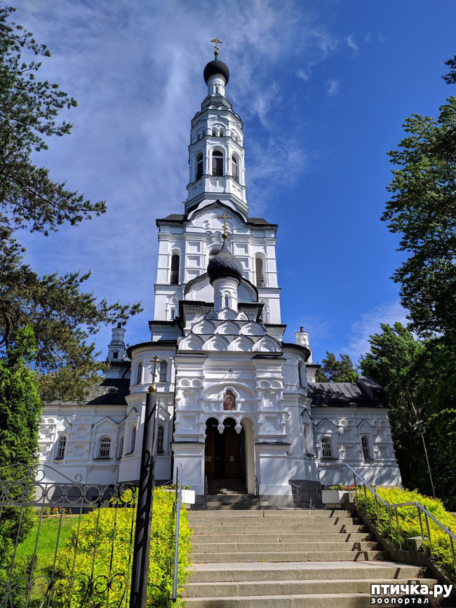 Зеленогорск храм
