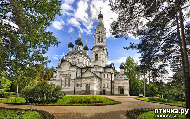 фото 6: Дорога без конца