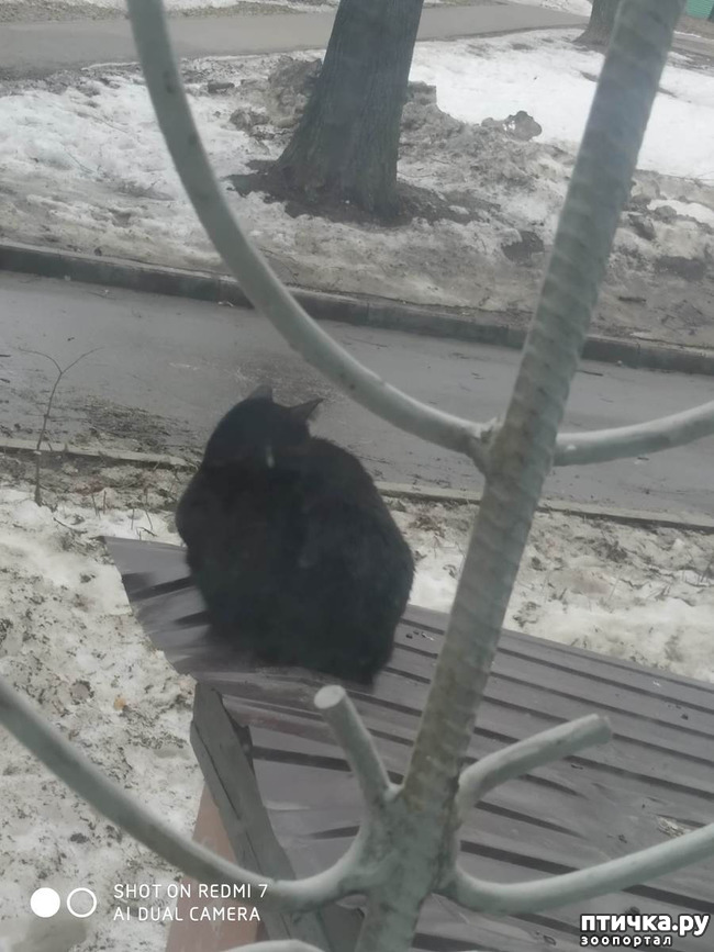 ���� 2: ����� � ������ - ��� ��������?