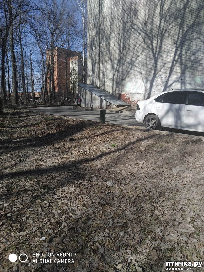 ���� 3: ����� � ������ - ��� ��������?