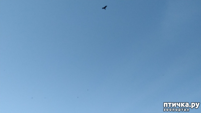  5:  