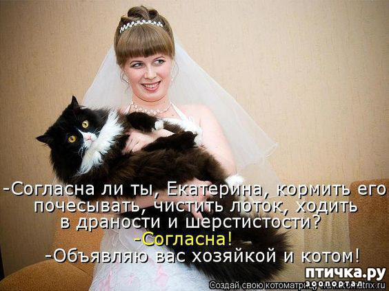  2:  ,      ... ()