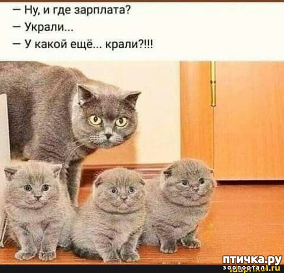  3:  ,      ... ()