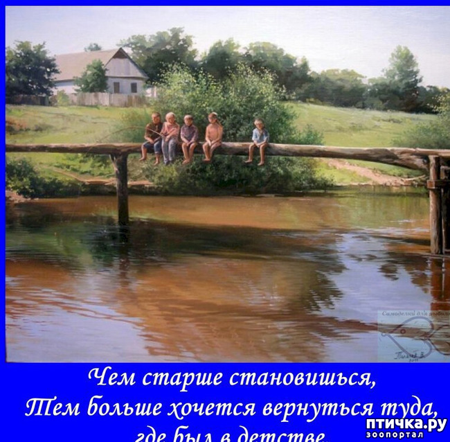  8:  ,      ... ()