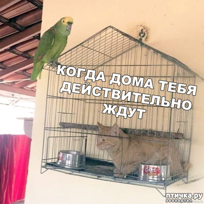  9:  ,      ... ()