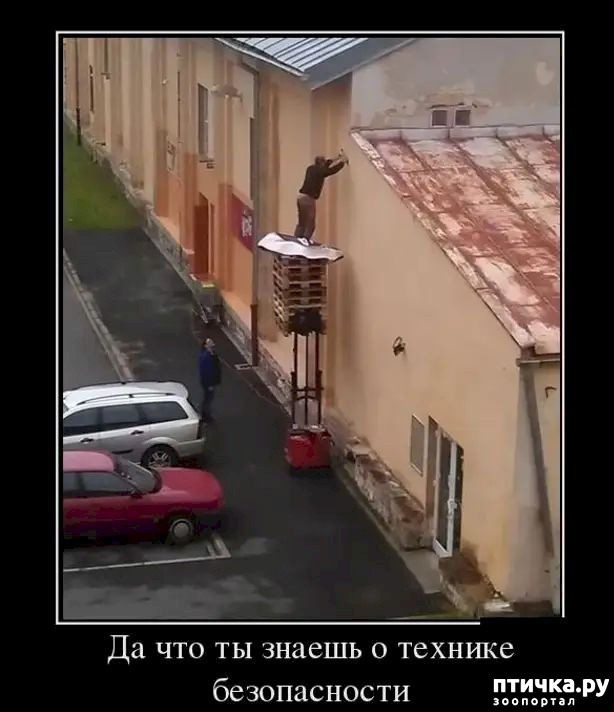 10:  ,      ... ()