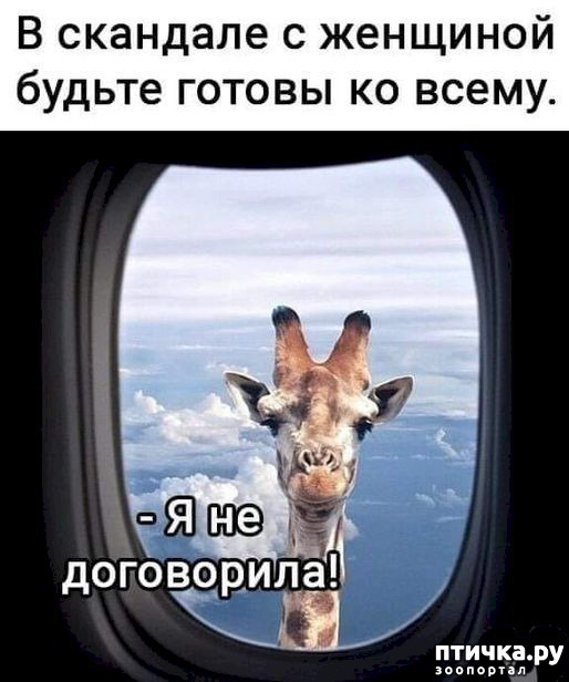 13:  ,      ... ()
