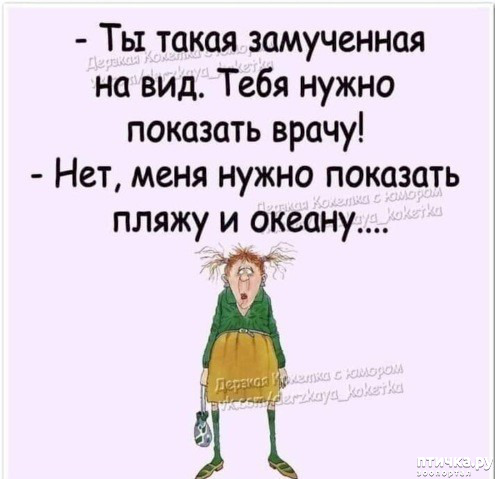  16:  ,      ... ()