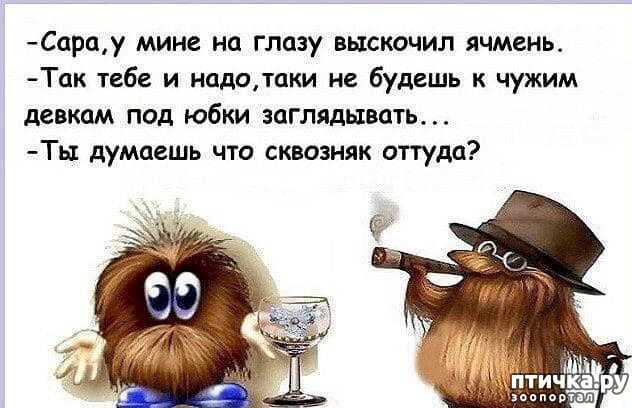 18:  ,      ... ()