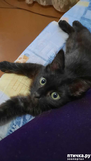 :     -?    !