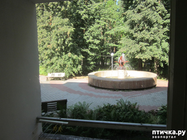  6:     ().  1
