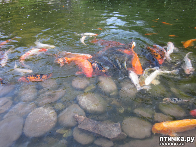  9:     ().  1