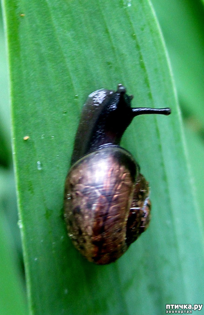  2:   