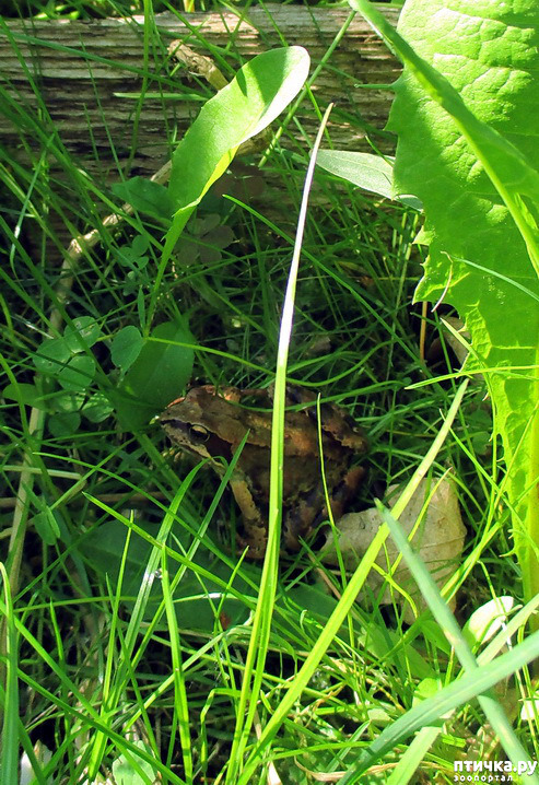  1:   