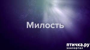 : 