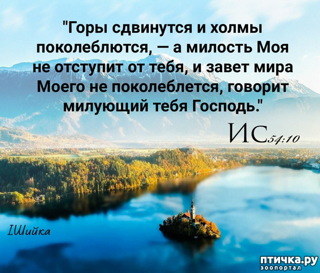  3: 