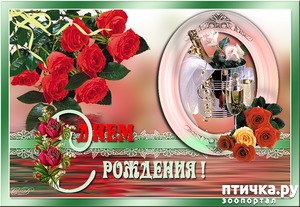 : HAPPY BIRTHDAY DEAR PTICHKA!