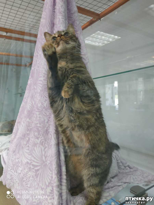  4:  .