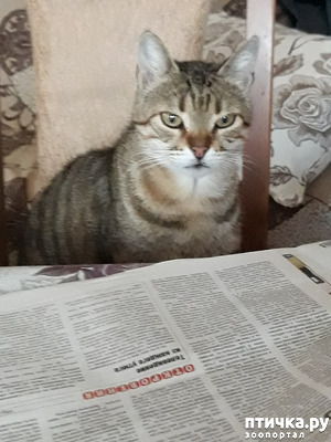 :    