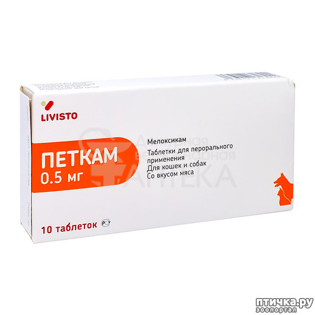  5:    