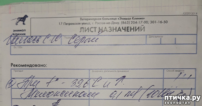  4:    