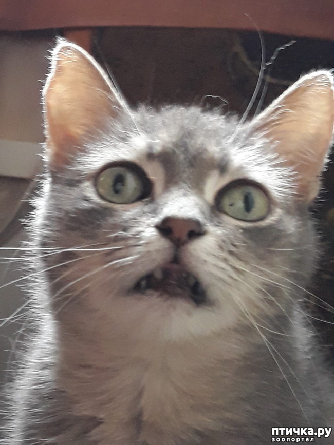  5: ,   .