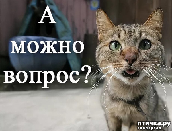  1: ,   .