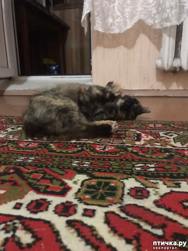  2:   