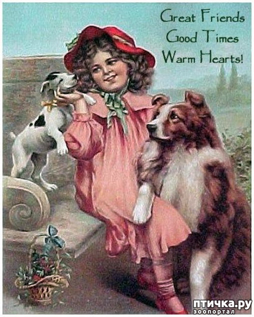  15:     