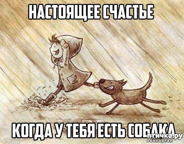  16:     