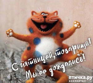 :   ...  ,  " " - !
