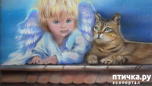 фотография: Еще один интересный рассказ Олега Бондаренко- "Восемь лет жизни" фото: Еще один интересный рассказ Олега Бондаренко- "Восемь лет жизни"