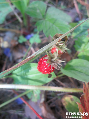 фотография: Как я провела лето (сочинение). Часть 5 фото: Как я провела лето (сочинение). Часть 5