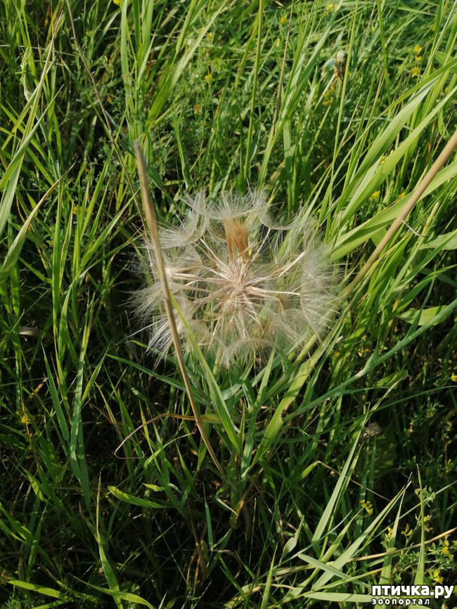  102:   . .