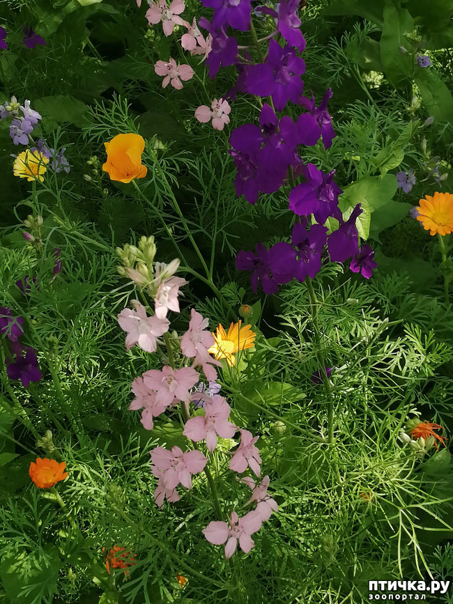  1:   . .