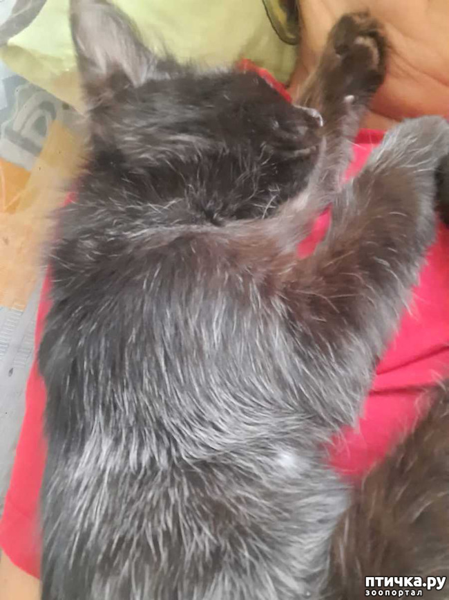  1: -.   .