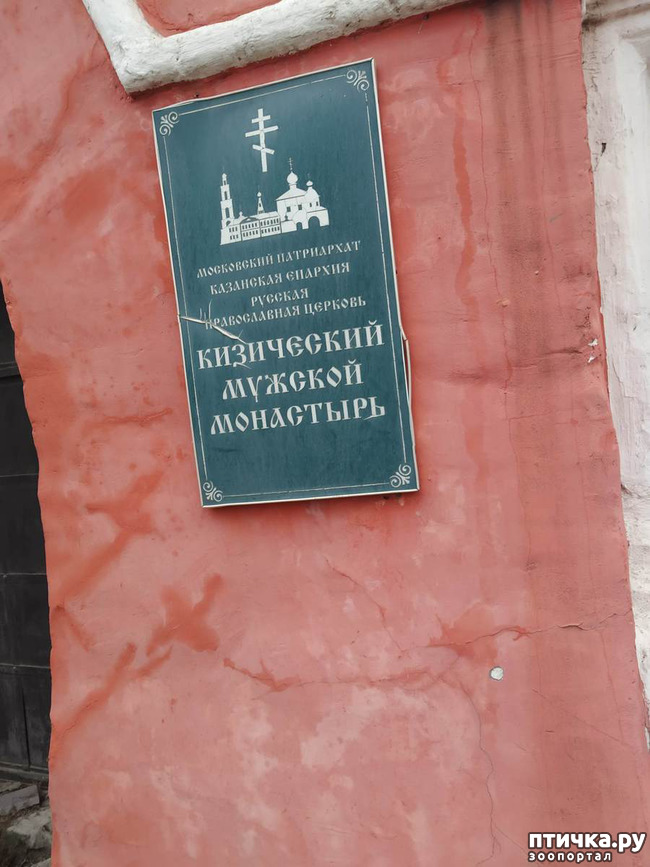  2: .  -2.