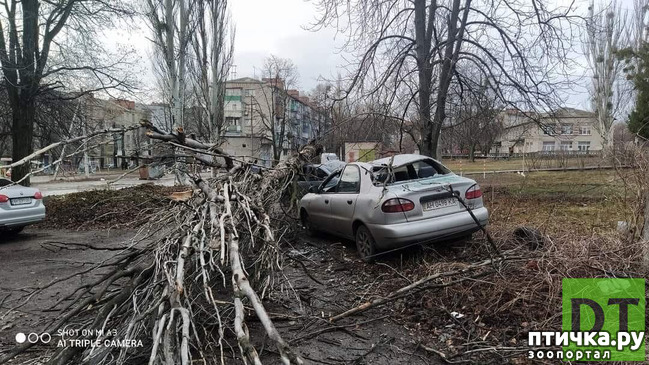 фото 5: СТИХИЯ, ОБРУШИВШАЯСЯ НА КРЫМЧАН