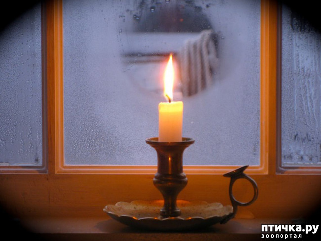 фото 1: Борис Пастернак «Зимняя ночь»