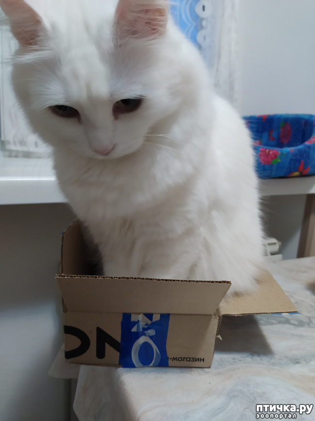  9: , !!! - 2