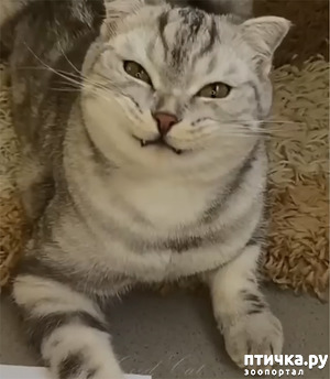:   ,   .