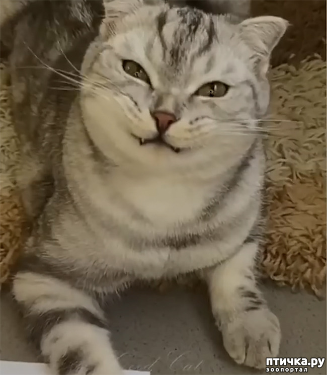  1:   ,   .