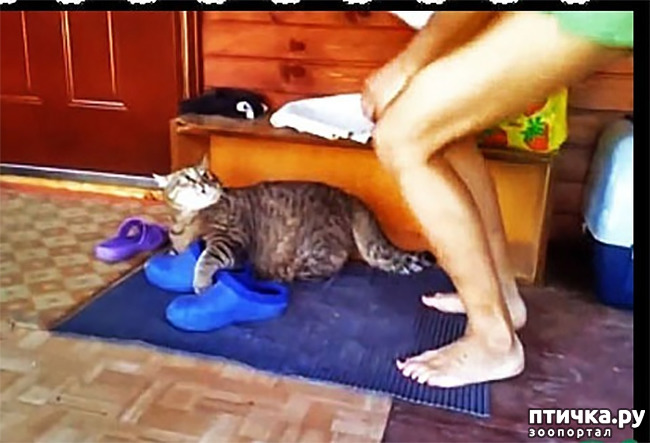  6:   ,   .