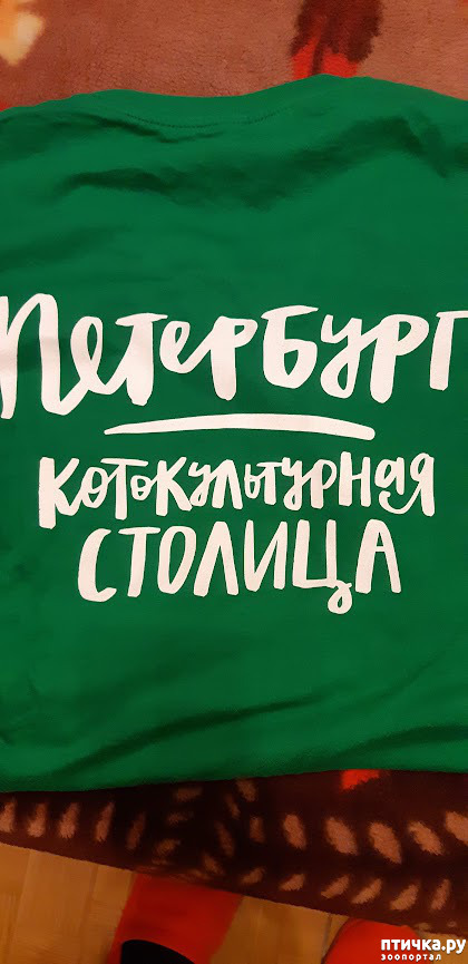  16:     