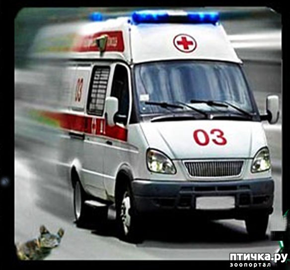  5: ׸ ,     