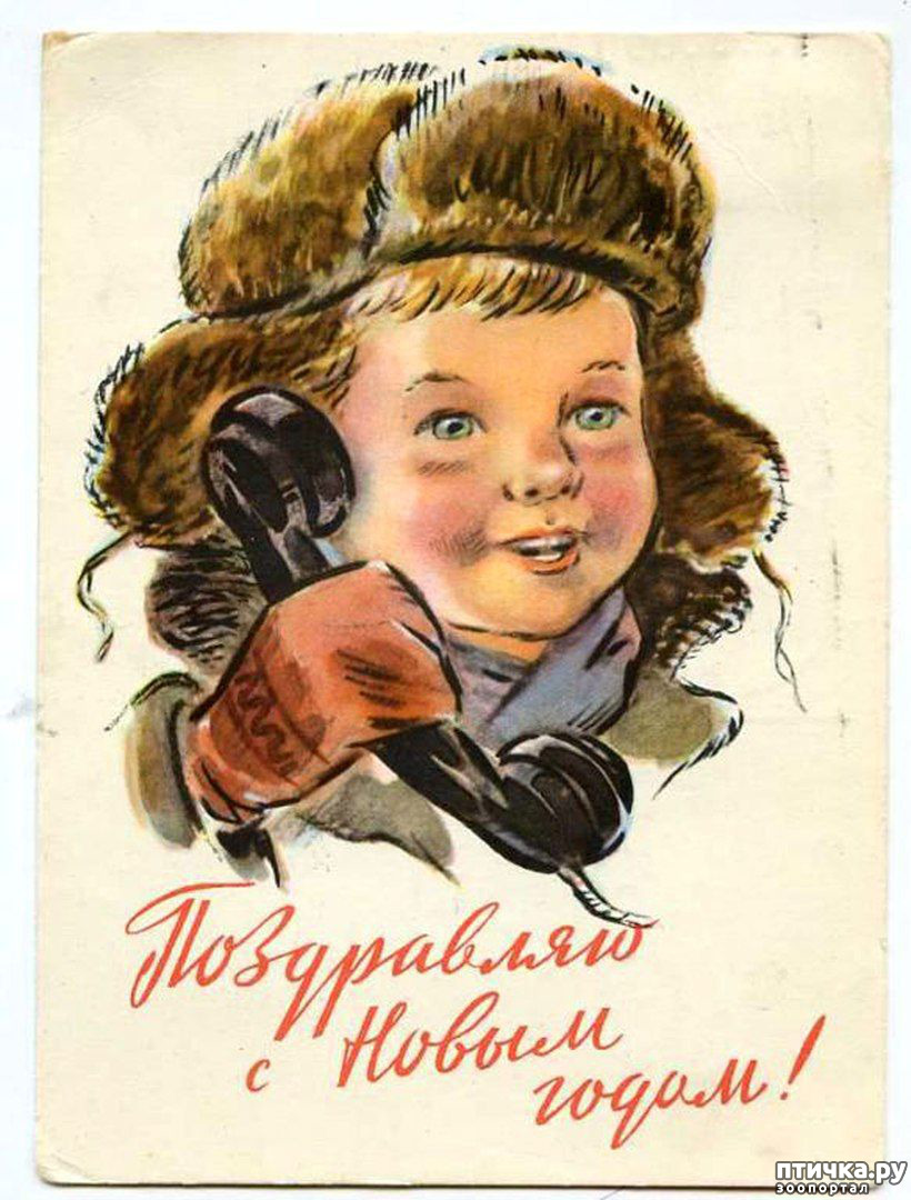 Наши добрые старые открытки