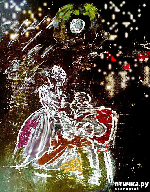 12:     