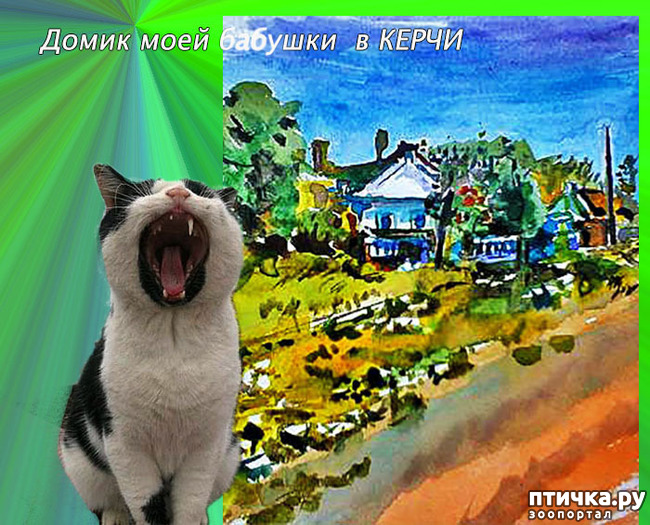  4:     