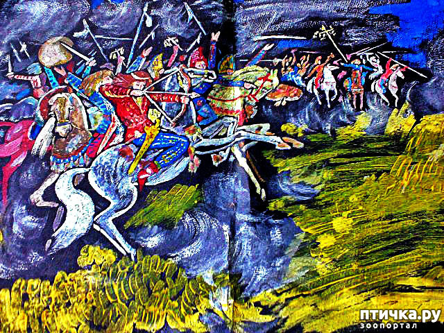  7:     