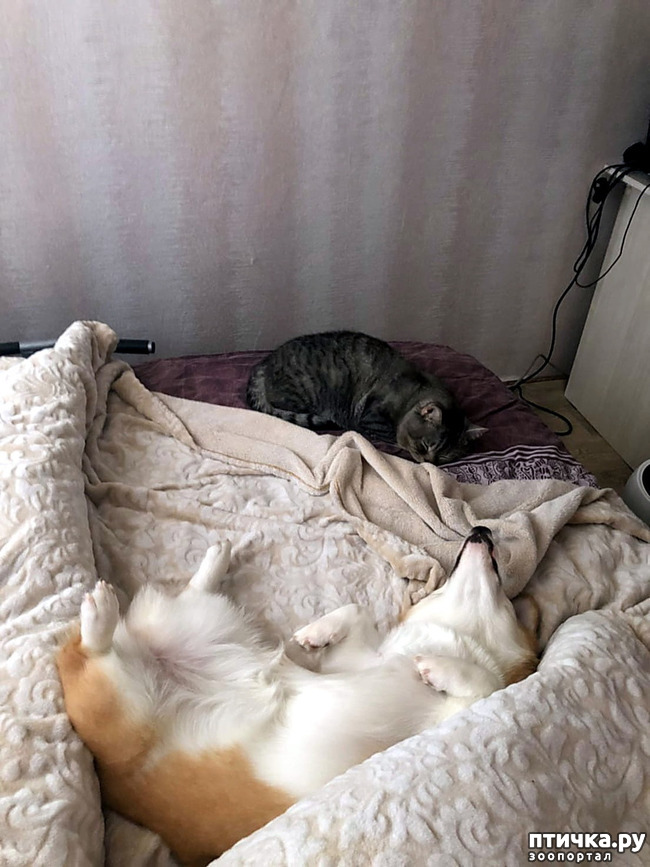  14:    